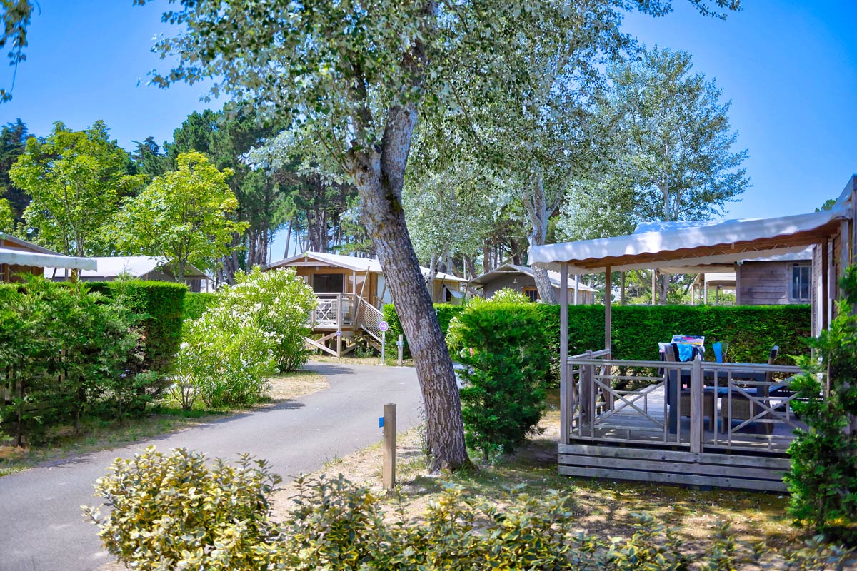 camping accueil groupe quiberon